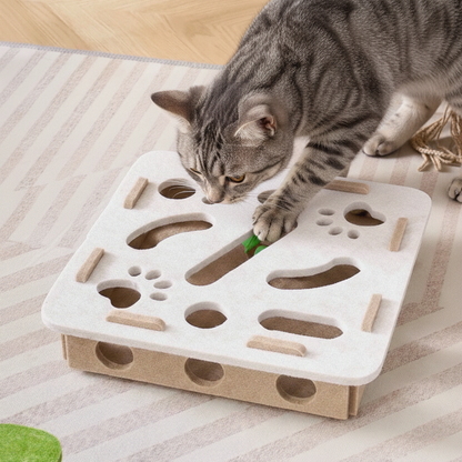 Clawté - Stress Free Nail Care™